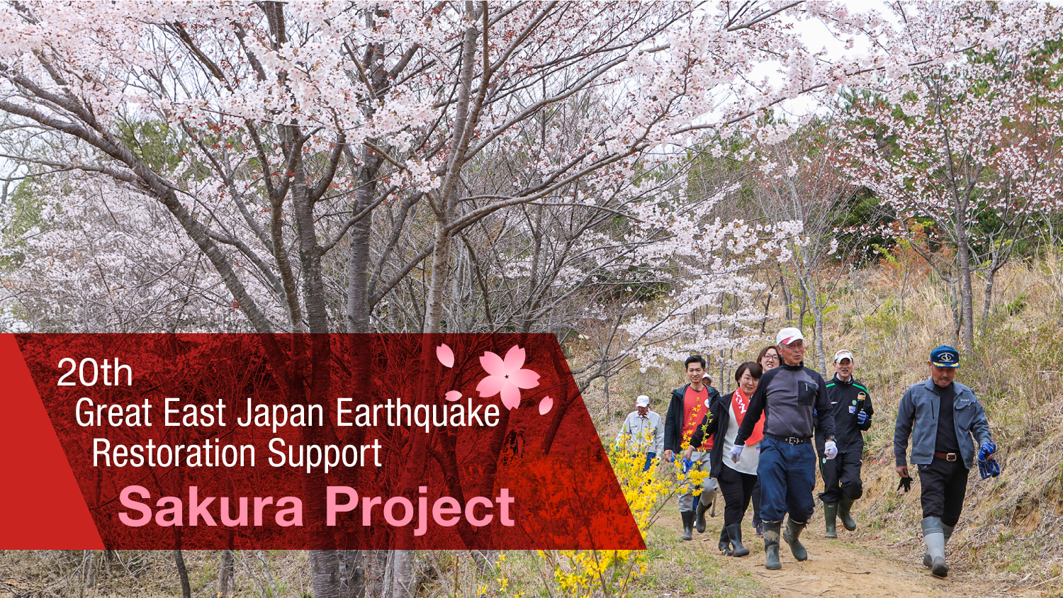 Nomura’s Sakura Project: Our 20th visit