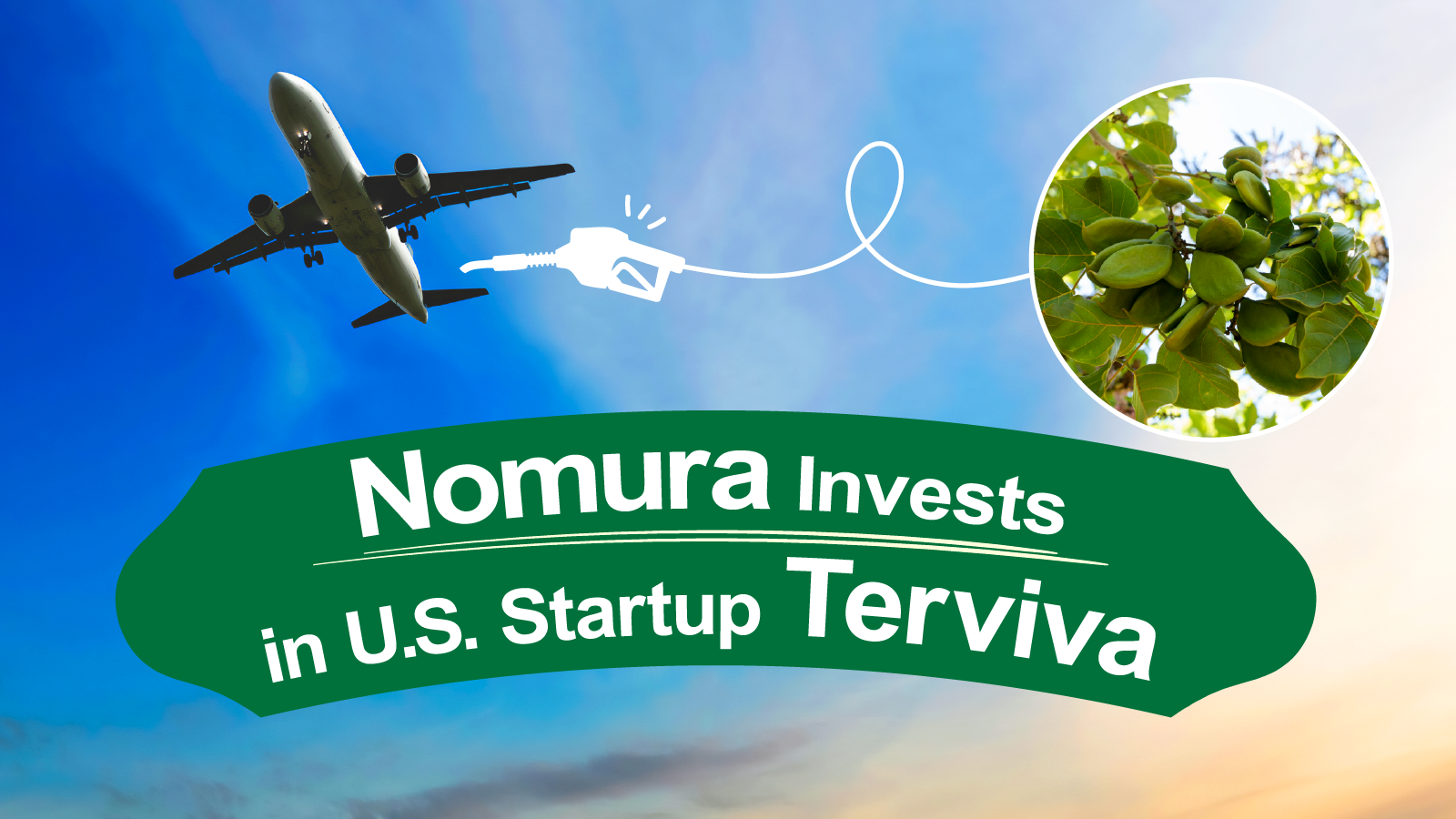 Nomura Invests in US Startup Terviva