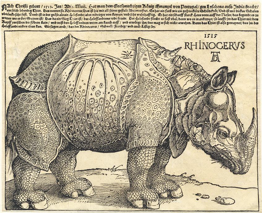 Albrecht Dürer 
The Rhinoceros 
First edition of 1515
Photo © GrandPalaisRmn (musée Musée du Louvre) / Michel Urtado / distributed by AMF-DNPartcom